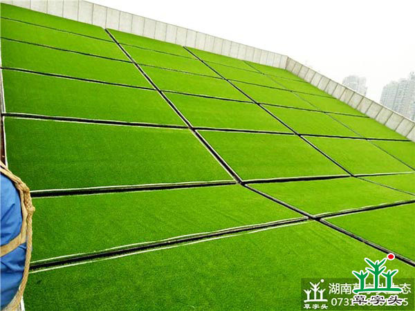 湘潭市博物館與規(guī)劃館，屋頂人造草皮綠化施工案例