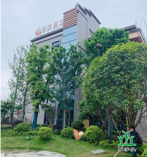 湖南草字頭生態(tài)環(huán)境建設有限公司,人造草坪假草皮,湖南雨水收集處理工藝